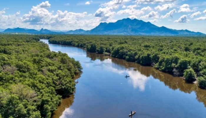 Crédito ajuda a transformar propriedade rural no primeiro beijandário do Espírito Santo 25/08/...
