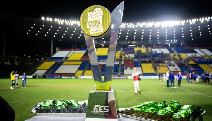 (Foto: Henrique Montovanelli/FES)